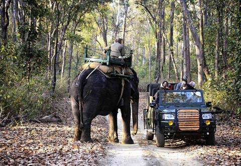 Royal Safari Escapes